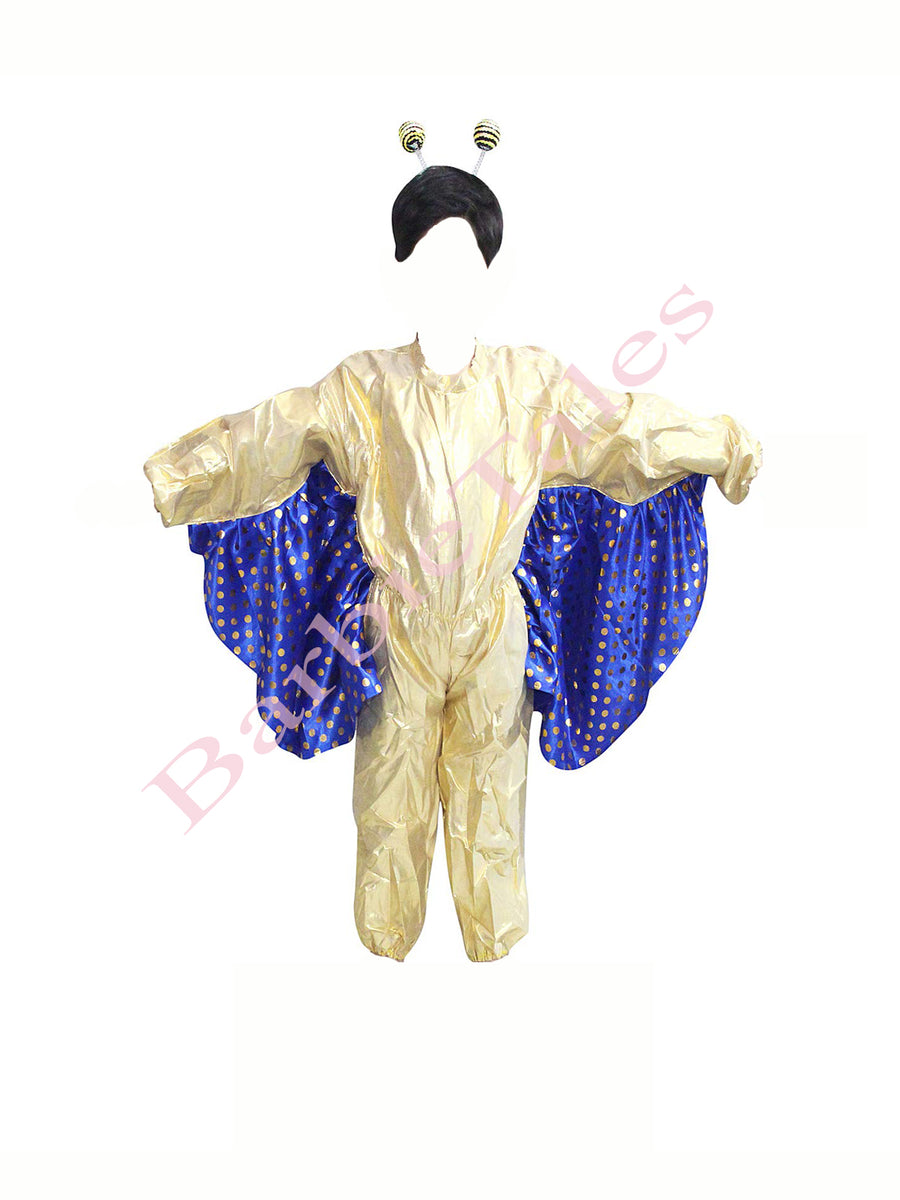 Butterfly Boy Kids Fancy Dress Costume