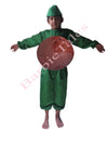 Coconut  Vegetable Kids Fancy Dress Costume