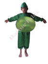 Gooseberry Fruit Kids Fancy Dress Costume