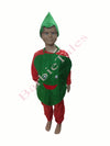 Palak Green Leafy Vegetable Kids Fancy Dress Costume