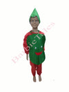 Palak Green Leafy Vegetable Kids Fancy Dress Costume