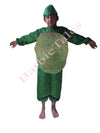 Jack Fruit Kids Fancy Dress Costume