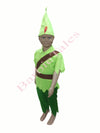 Peter Pan Kids Fancy Dress  Costume