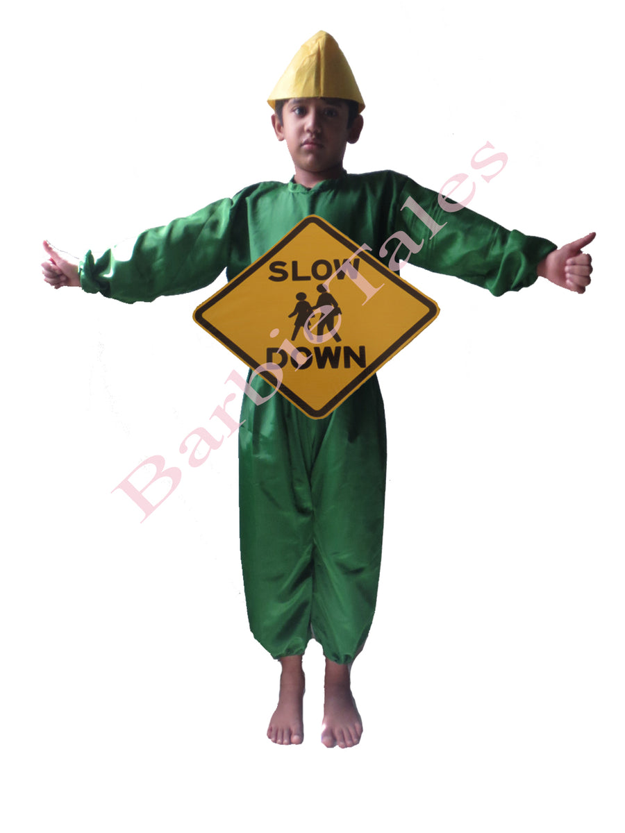 Slow Down Kids Fancy Dress