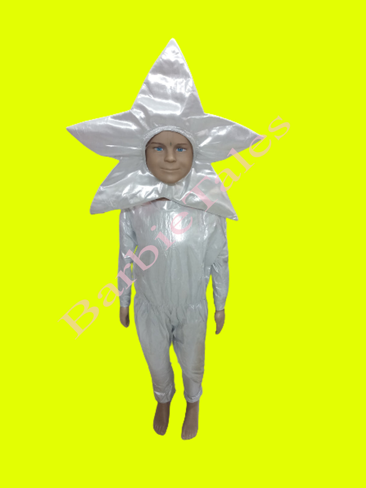 Star Kids Fancy Dress