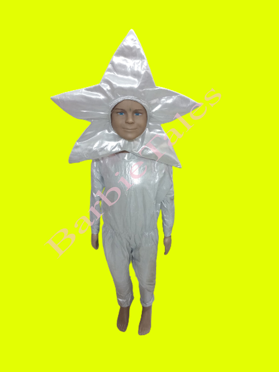 Star Kids Fancy Dress