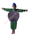 Blackberry Fruit Kids Fancy Dress Costume