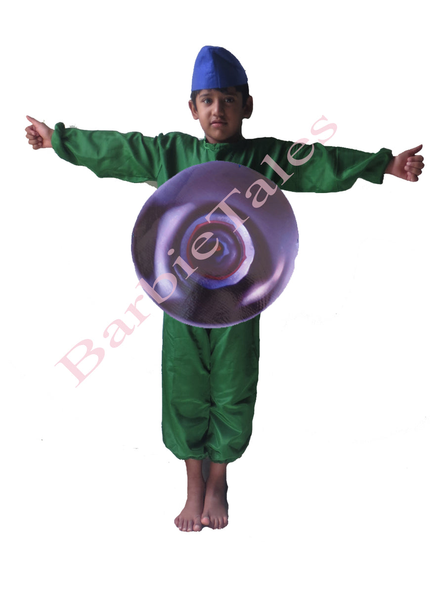 Blueberry Fruit Kids Fancy Dress Costume