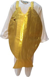 golden fish Insect Kids Fancy Dress Costume