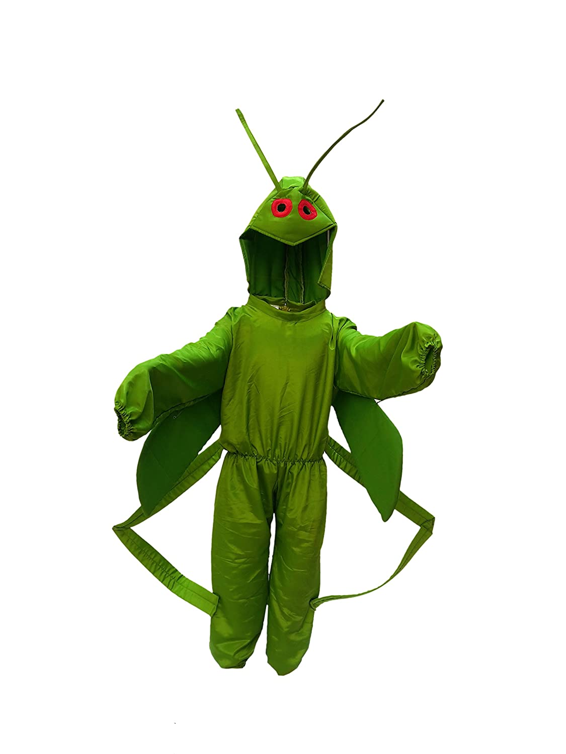 Grass Hopper Insect Kids Fancy Dress Costume
