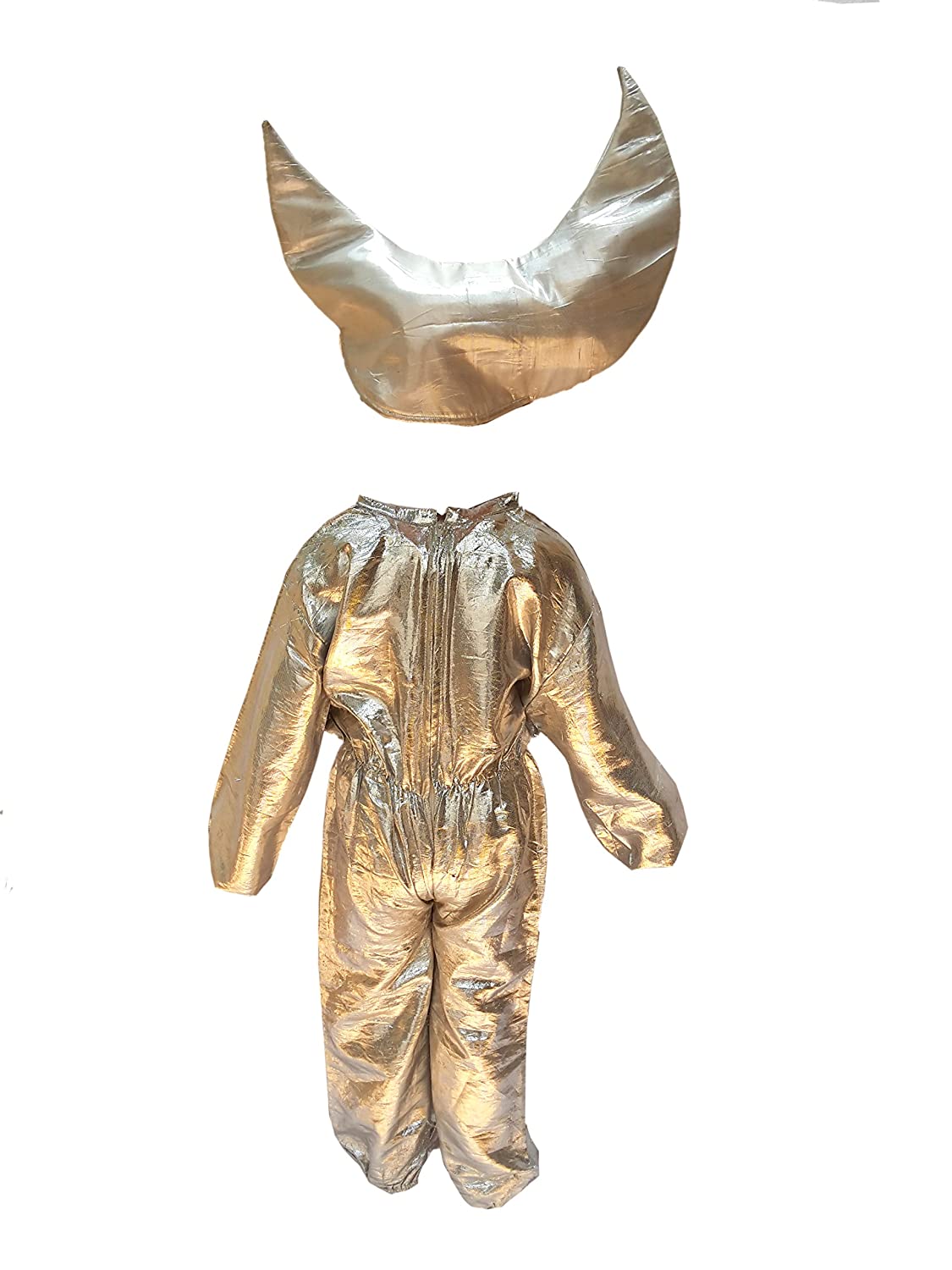 Moon Kids Fancy Dress